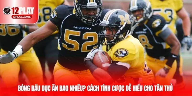 Cách Chơi Bóng Bầu Dục Thắng Lớn Tại Cổng Game 12PLAY 4 Bóng bầu dục ăn bao nhiêu? Cách tính cược dễ hiểu cho tân thủ