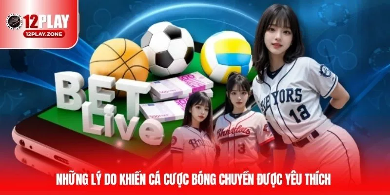 Những lý do khiến cá cược bóng chuyền được yêu thích