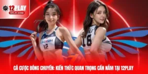 ca cuoc bong chuyen duc thumb