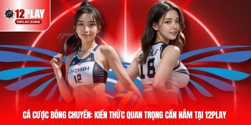ca cuoc bong chuyen duc thumb