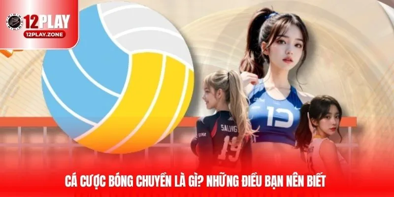 Cá cược bóng chuyền là gì? Những điều bạn nên biết
