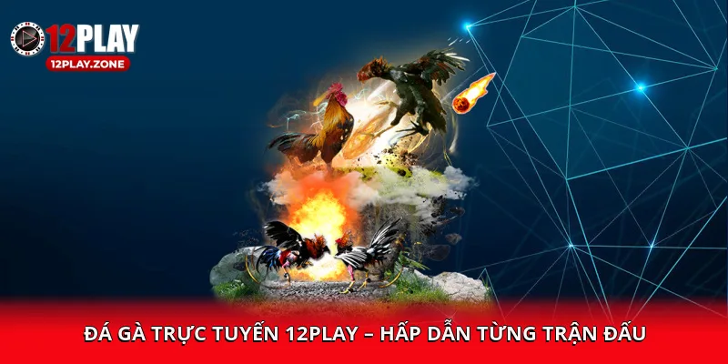 da-ga-truc-tuyen-12play--hap-dan-tung-tran-dau-1